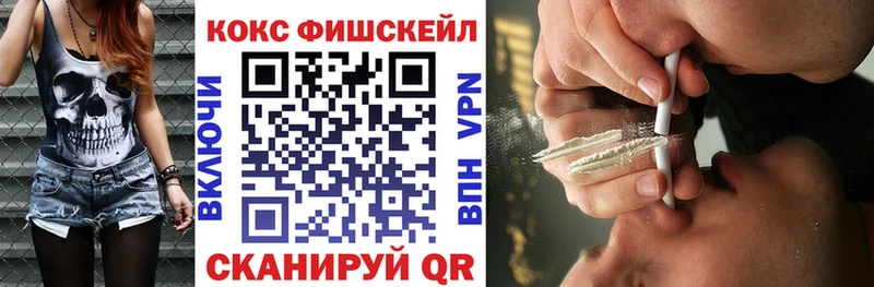КОКАИН Fish Scale  Соликамск 