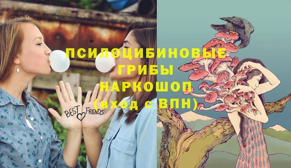 бошки Семикаракорск